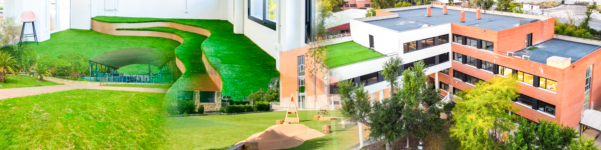 Lee más sobre el artículo Colegio Greenfield: La Inteligencia Artificial al servicio del ADN pedagógico